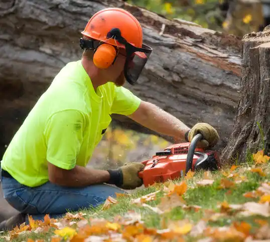 tree services Milaca